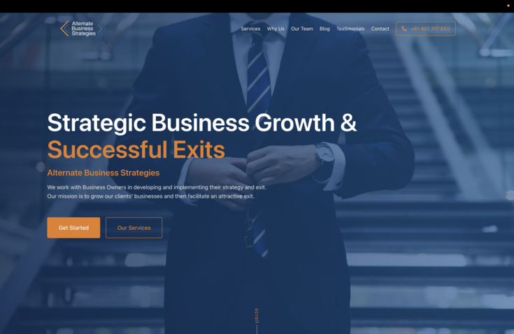 Alternate Business Strategies website preview